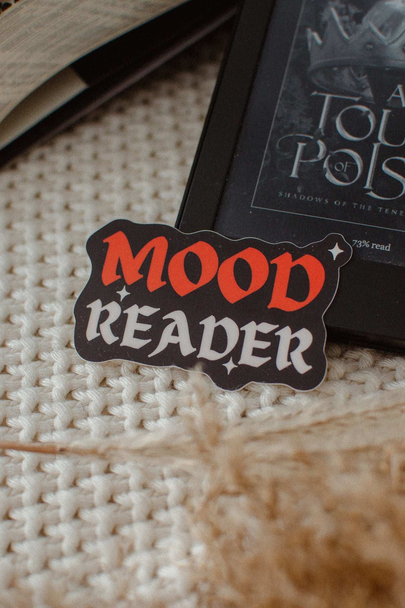 Mood Reader Sticker | Kindle Vinyl Sticker