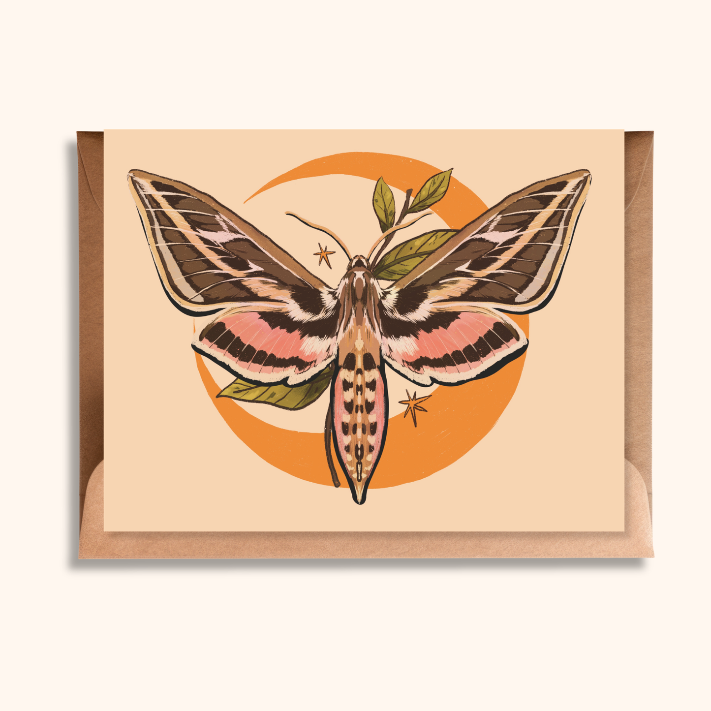 Sphinx Moth Greeting Card | Blank Nature Card