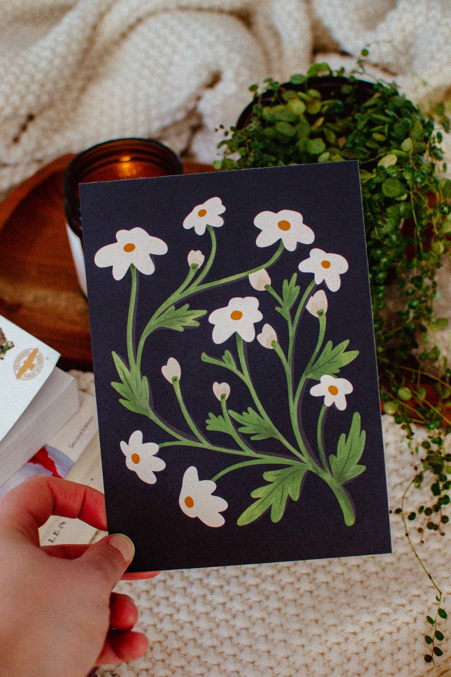 White Daisy Wildflower Poster | Spring Home Decor Wall Art Print