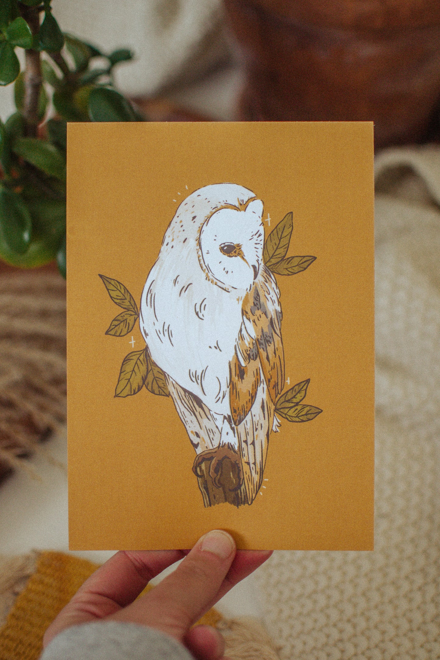 Barn Owl Art Print | Canadian Wildlife Wall Art Print