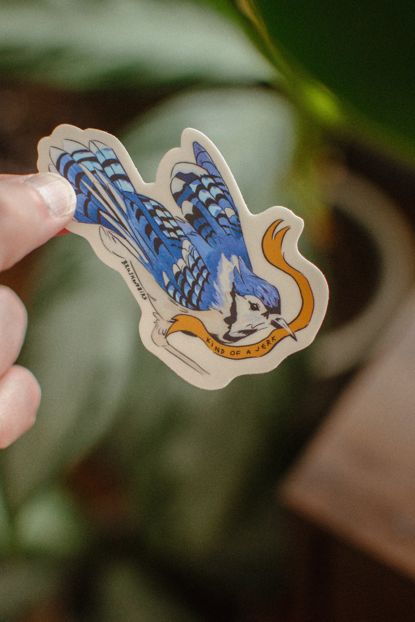 Blue Jay Sticker | Kind of a Jerk Bird Vinyl Sticker