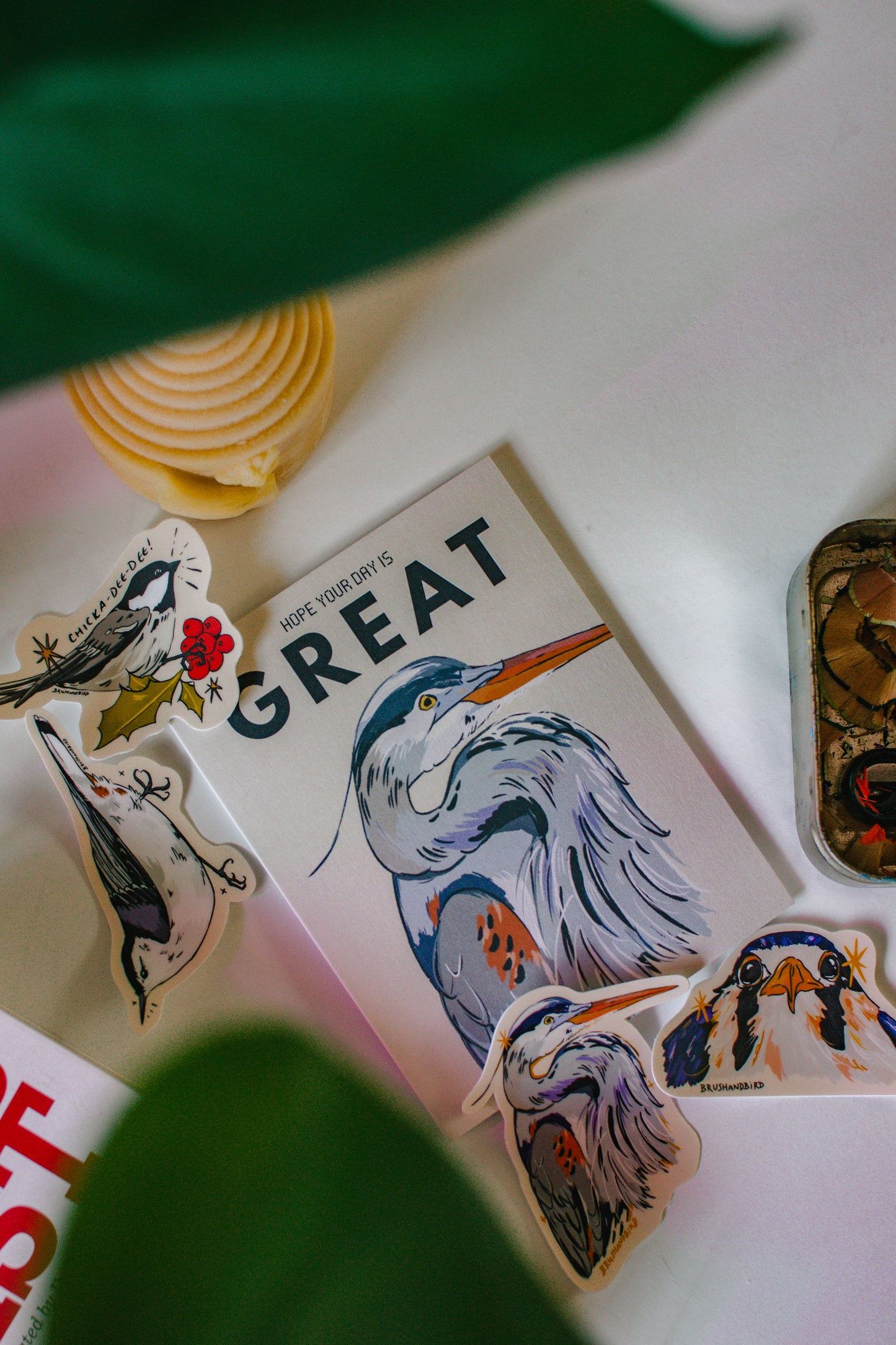 White Breasted Nuthatch Sticker | Bird Lover Waterproof Vinyl Die Cut