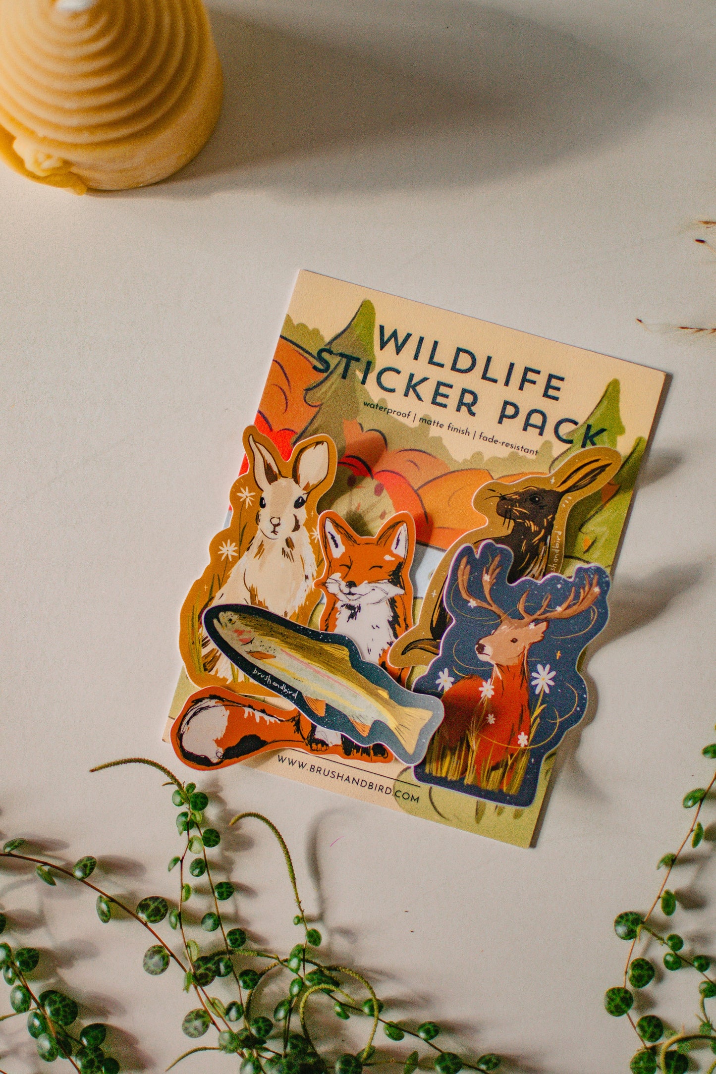 Wildlife Sticker Pack | Waterproof Vinyl Sticker Set of 5