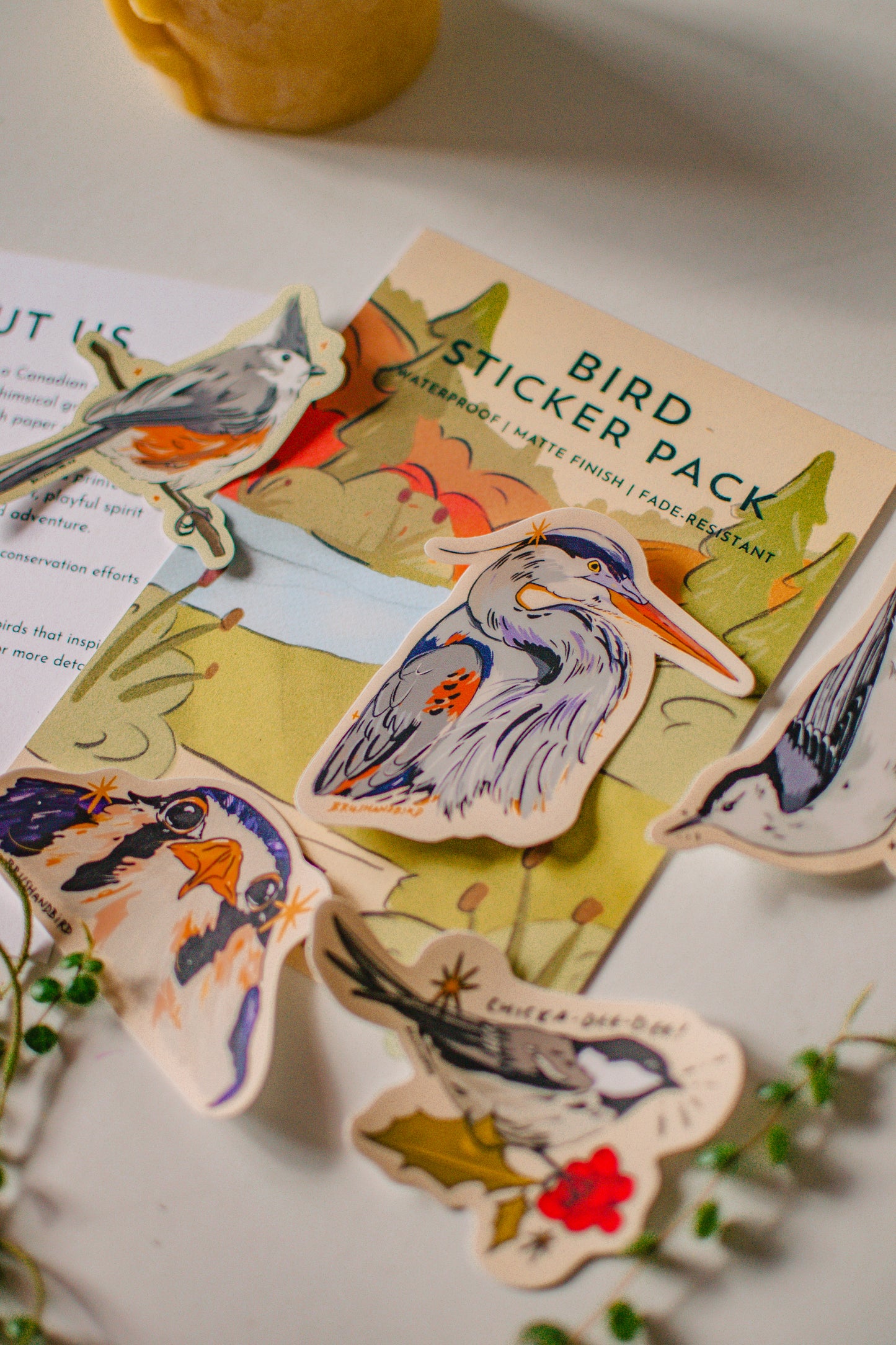 Bird Sticker Pack | Bird Lover Set of 5 Waterproof Vinyl Decals