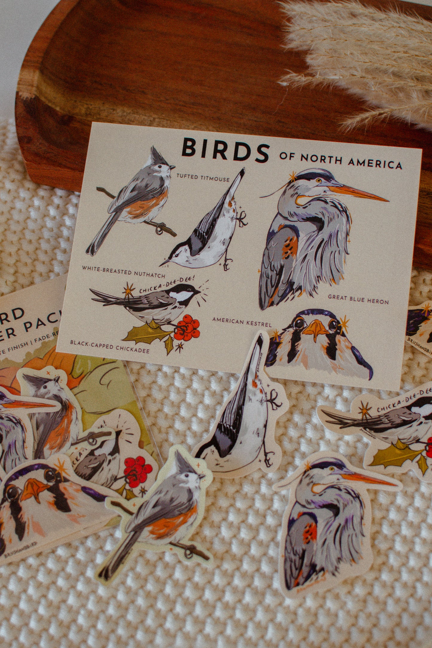 Bird Postcard | Birds of North America 5x7 Design