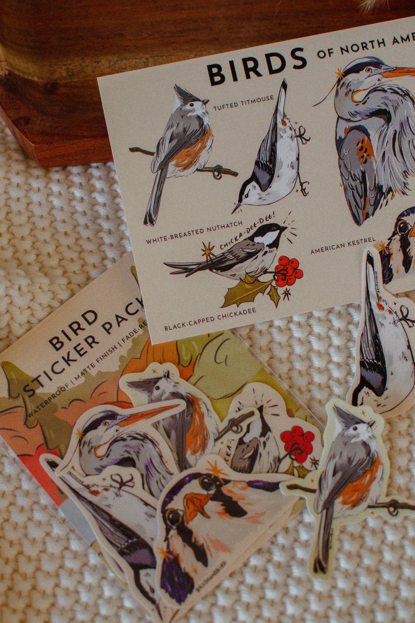Bird Postcard | Birds of North America 5x7 Design