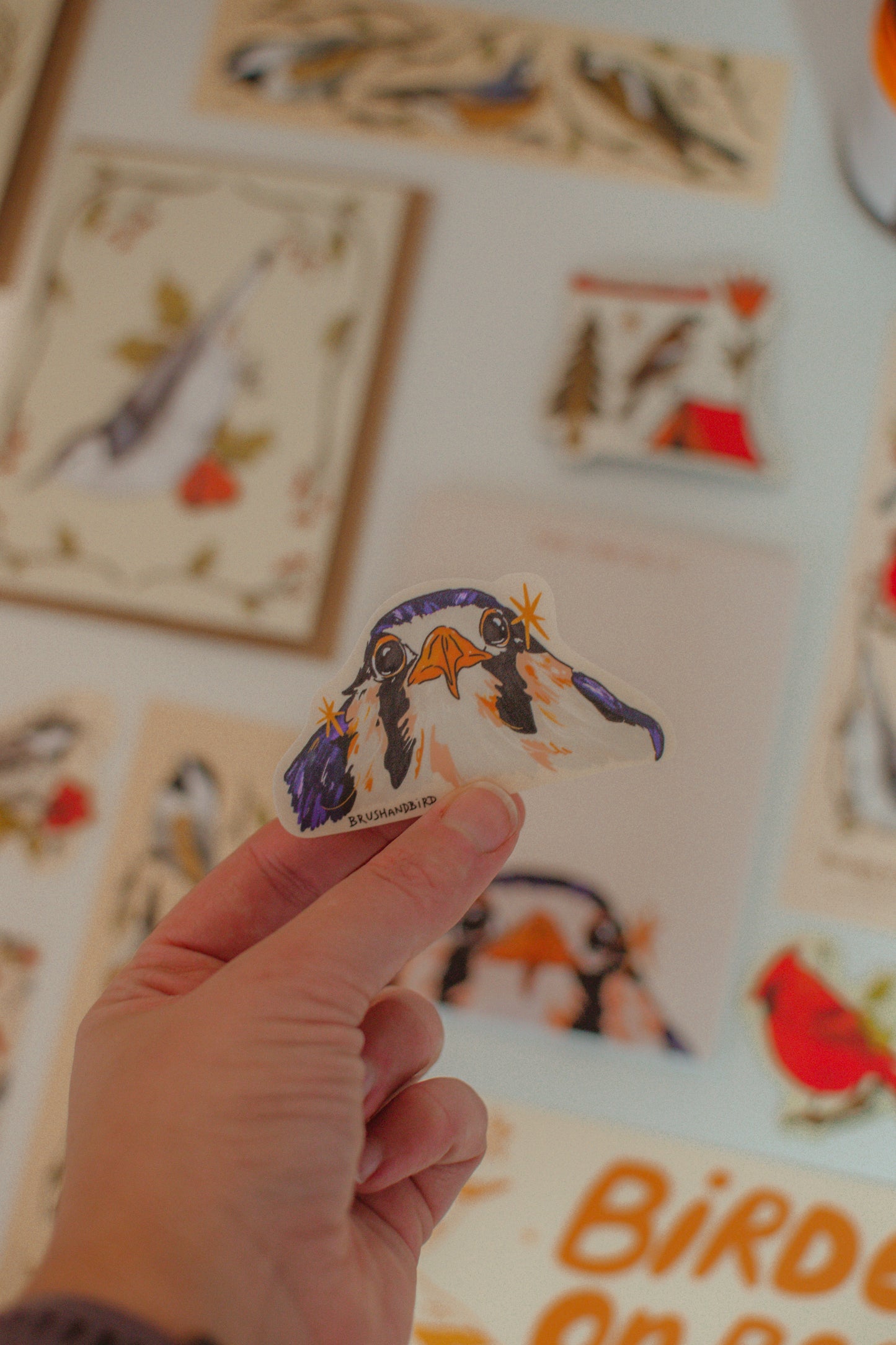 Baby Kestrel Sticker | Bird Lover Waterproof Vinyl Die Cut