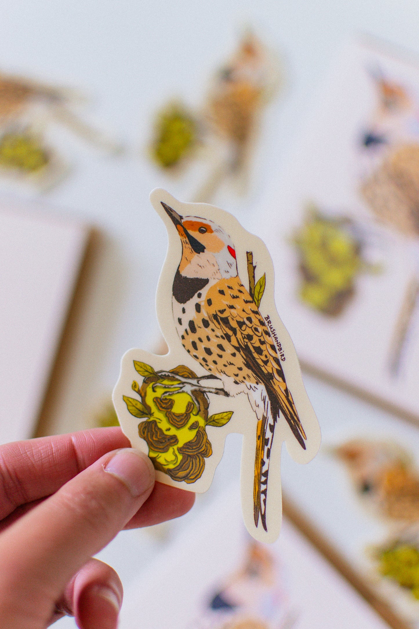 Northern Flicker Sticker | Woodpecker Illustration Vinyl Decal