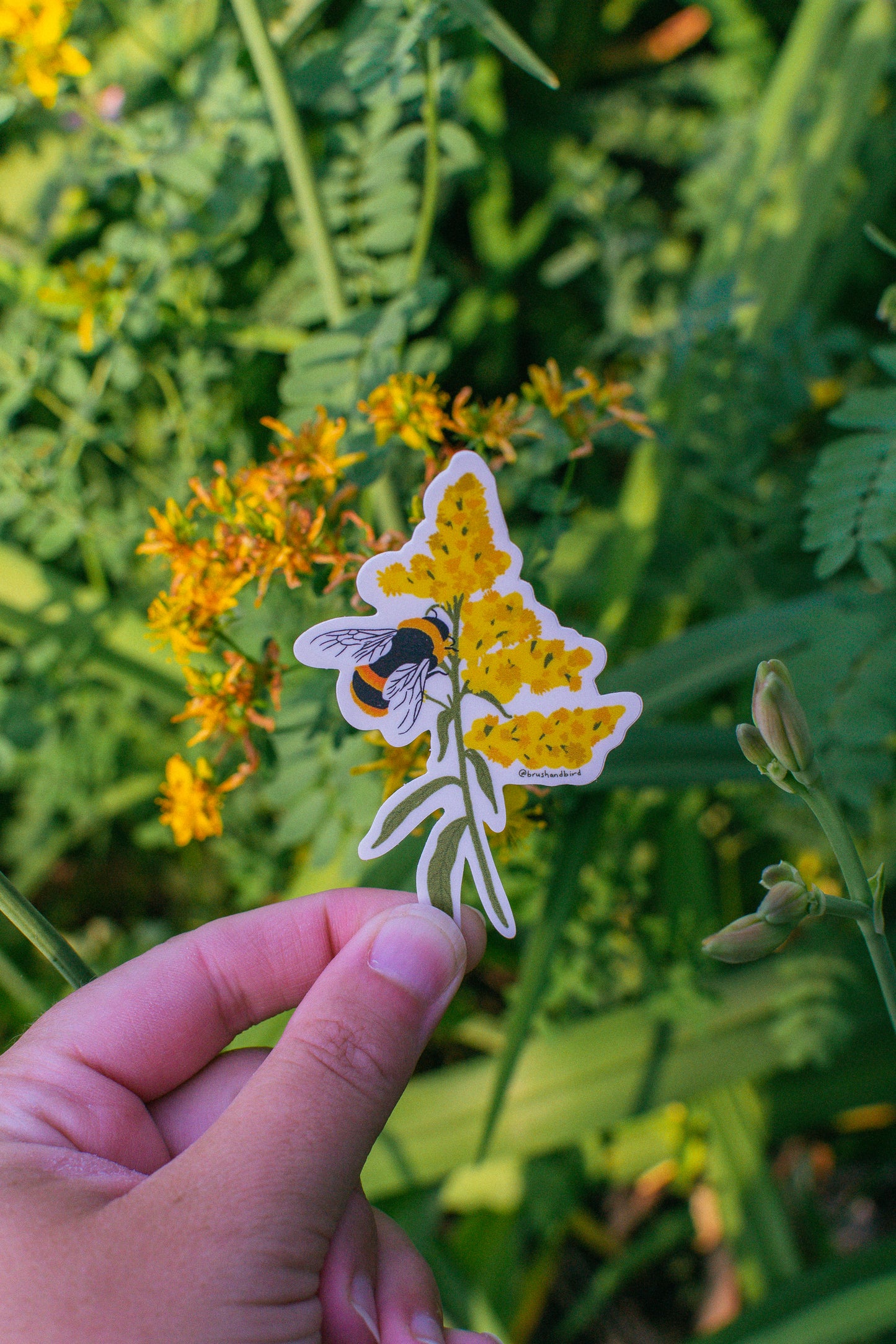 Bumblebee and Goldenrod Sticker | Pollinator Vinyl Sticker
