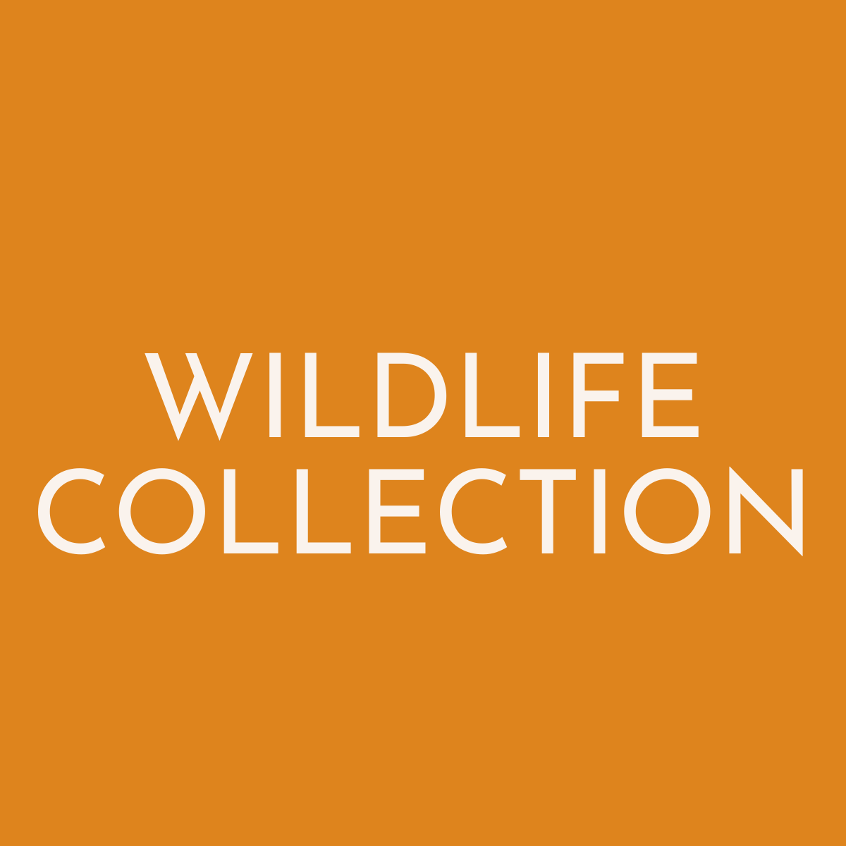 Wildlife Collection