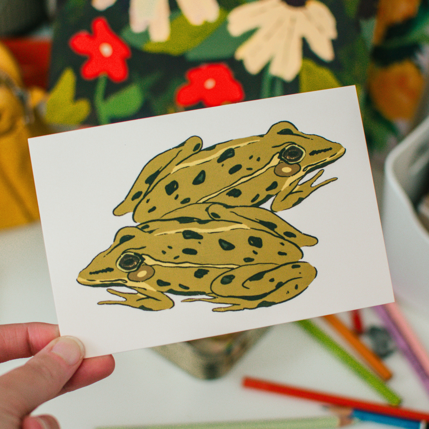 Northern Leopard Frog Postcard | 4"x6" Illustrated Animal Postcard