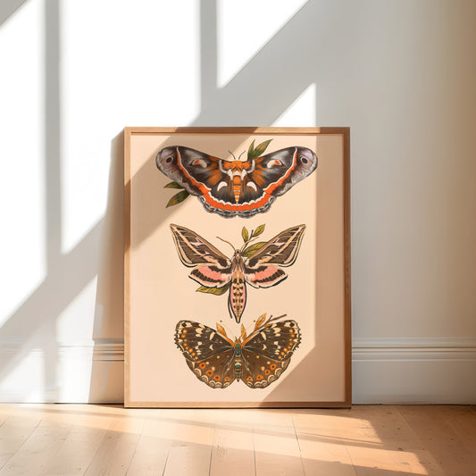 North American Moths Art Print | 8" x 10" Nature Illustration