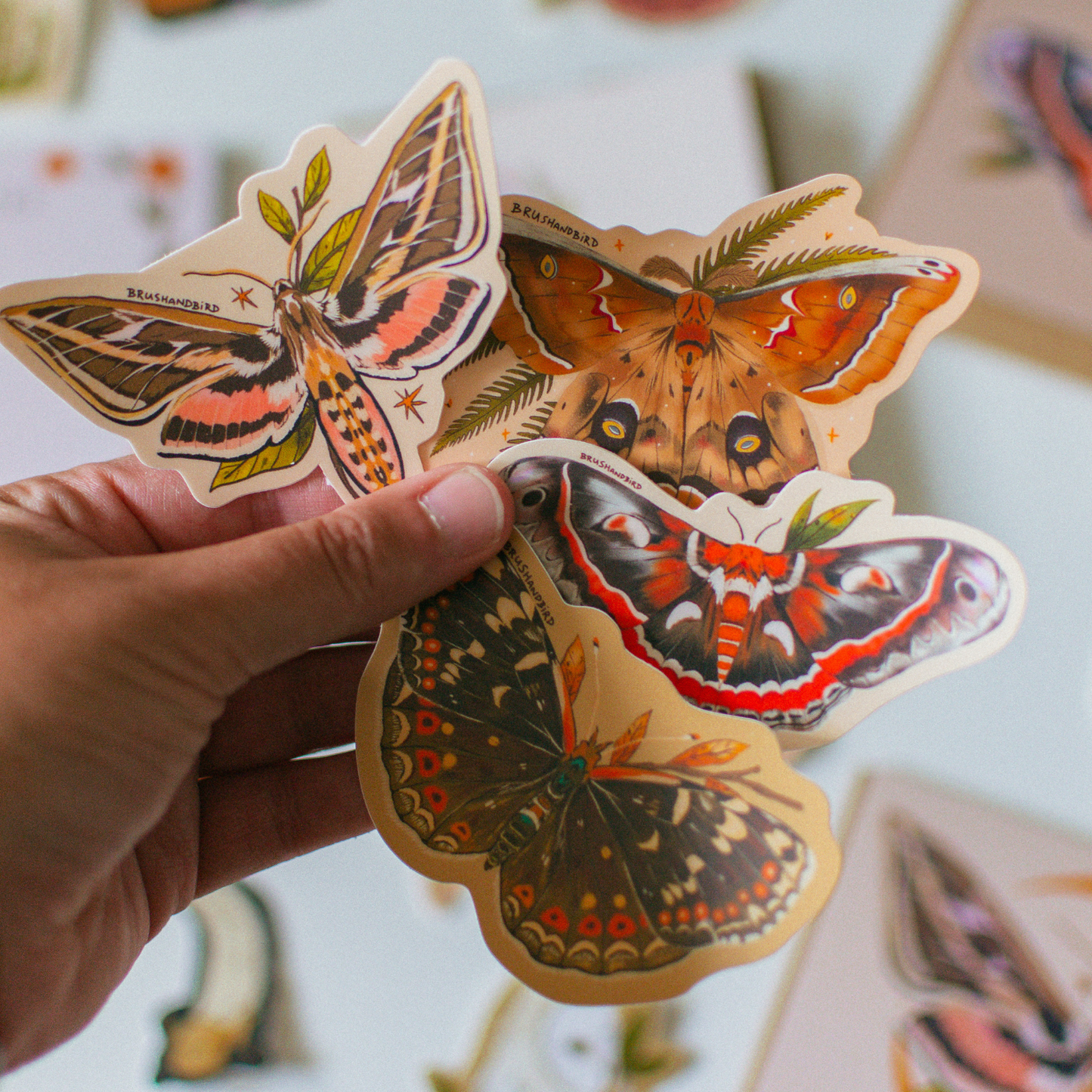 North American Moths Sticker Pack | Set of 4 Waterproof Vinyl Stickers