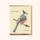 Funny Holiday Bird Card | Cheeky Titmouse Christmas Design