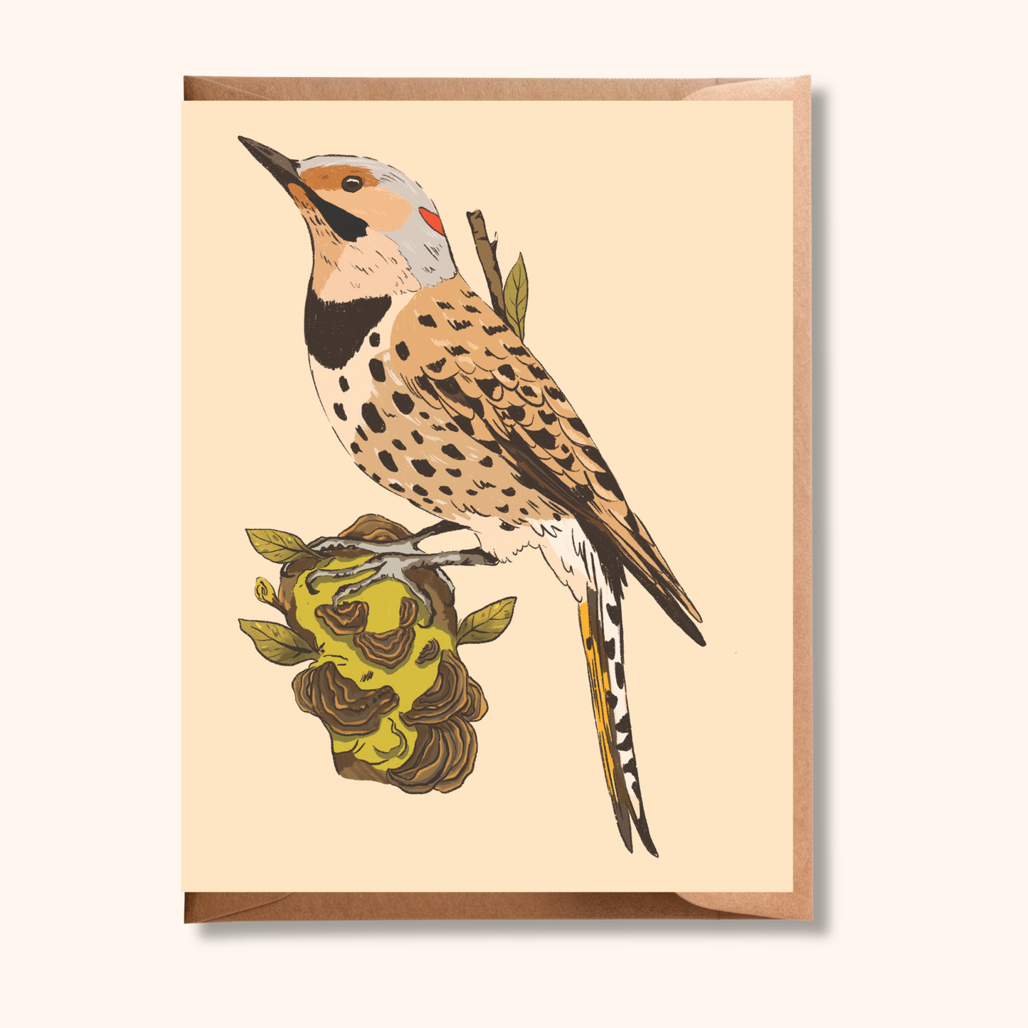 Northern Flicker Greeting Card | Blank Bird Illustration Card