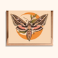 Sphinx Moth Greeting Card | Blank Nature Card