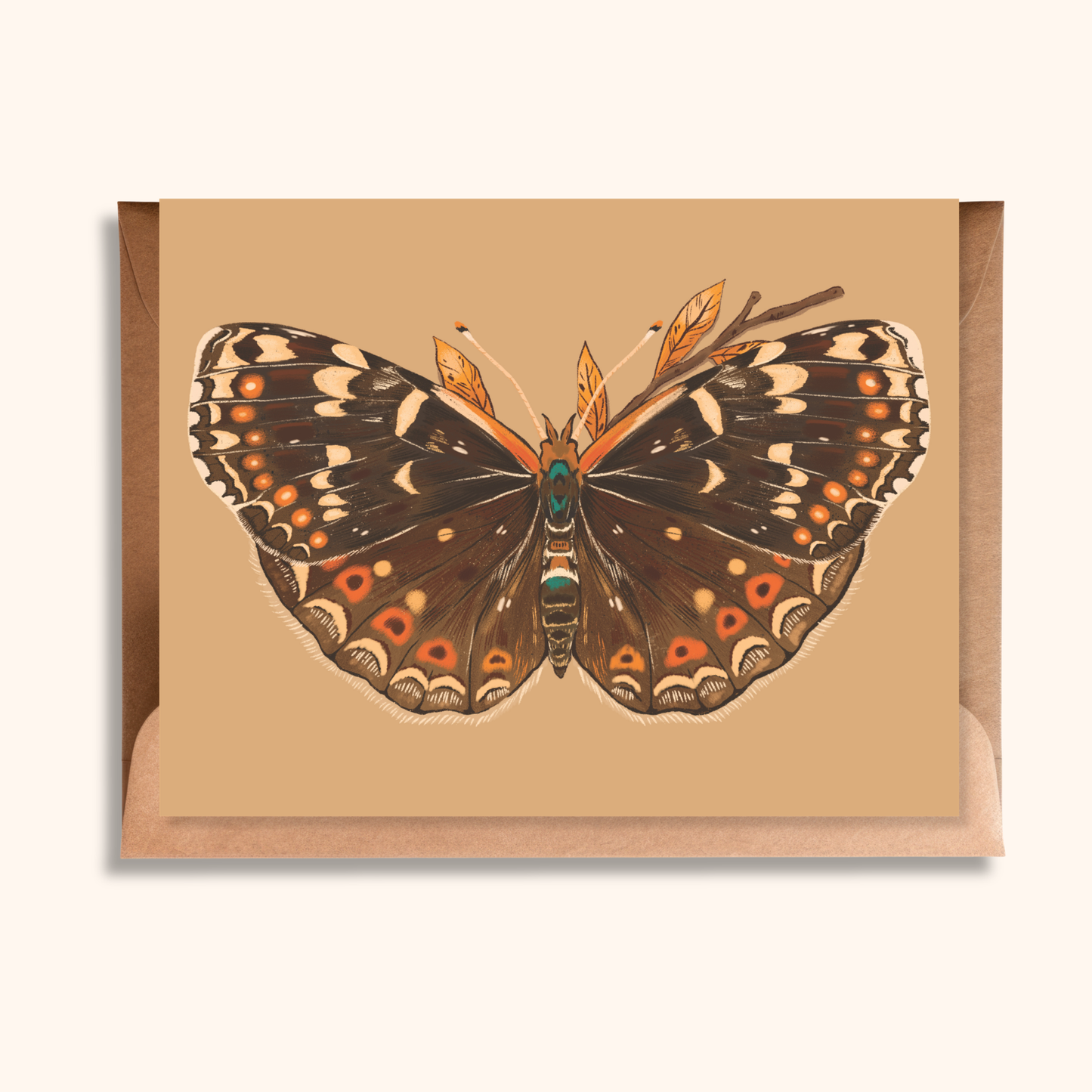 Field Crescent Moth Greeting Card | Nature Lover Card