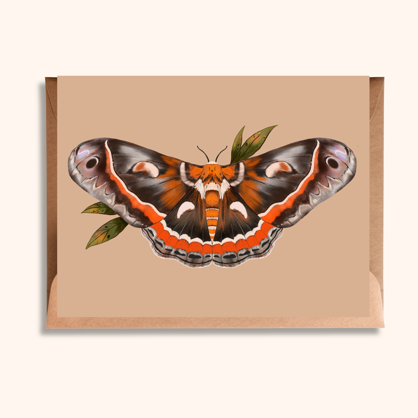 Cecropia Moth Greeting Card | Blank Nature Illustration Card