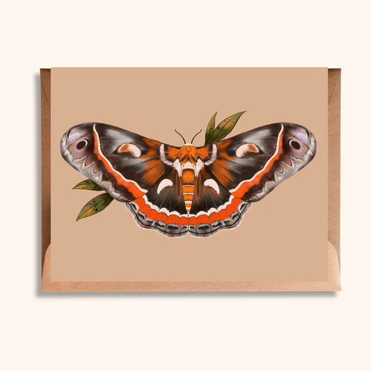Cecropia Moth Greeting Card | Blank Nature Illustration Card