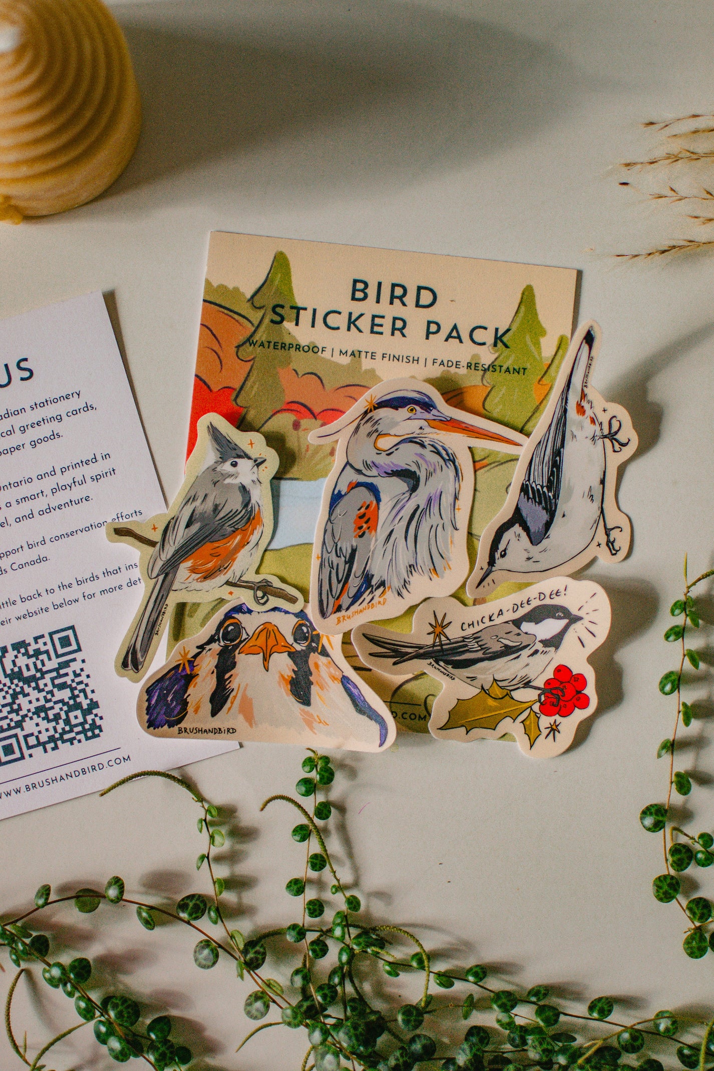 Bird Sticker Pack | Bird Lover Set of 5 Waterproof Vinyl Decals – Brush ...