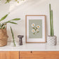 Chrysanthemum Flowers Wall Art Print