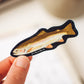 Rainbow Trout Sticker | Wildlife Sticker, Ontario Vinyl Sticker