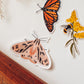 Pink Tiger Moth Sticker | Butterfly Vinyl Sticker