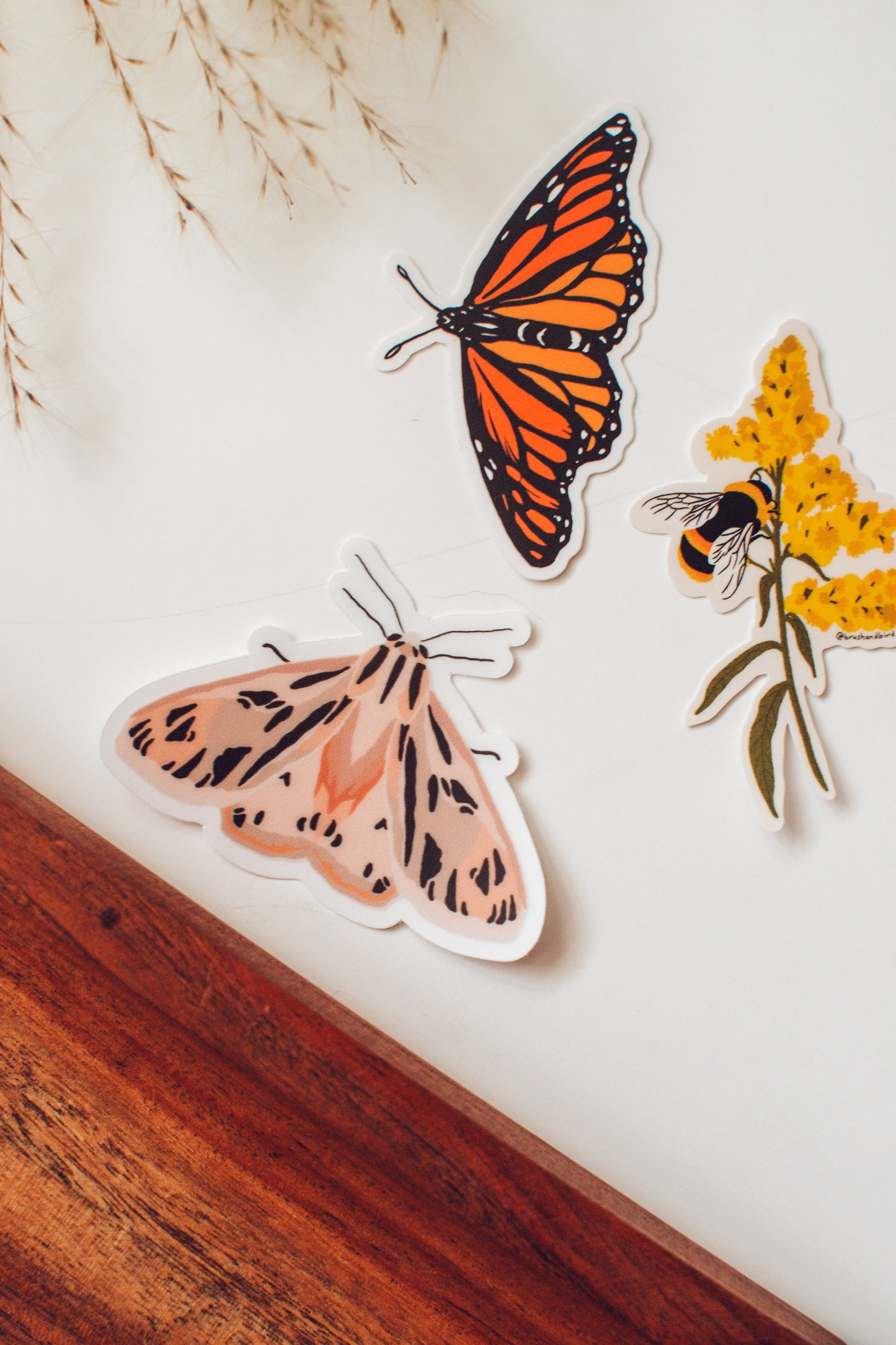 Pink Tiger Moth Sticker | Butterfly Vinyl Sticker