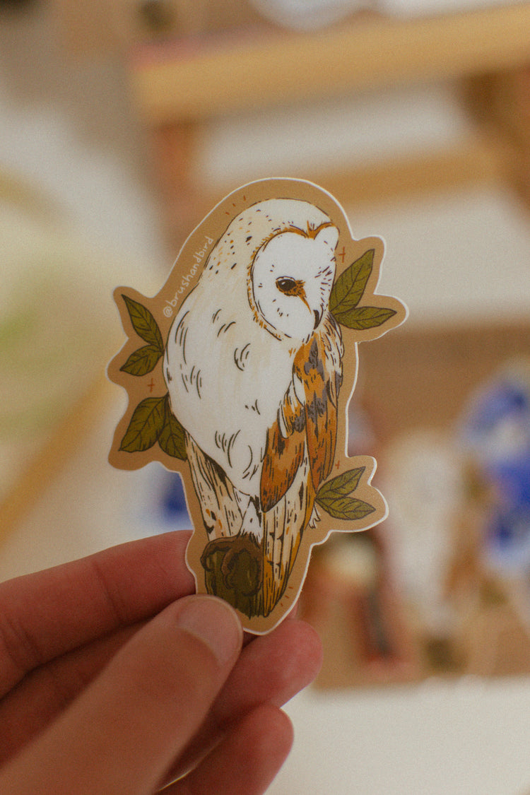 Barn Owl Sticker | Canadian Wildlife Vinyl Waterproof Sticker