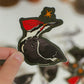 Pileated Woodpecker Sticker | Ontario Birds | Vinyl Sticker