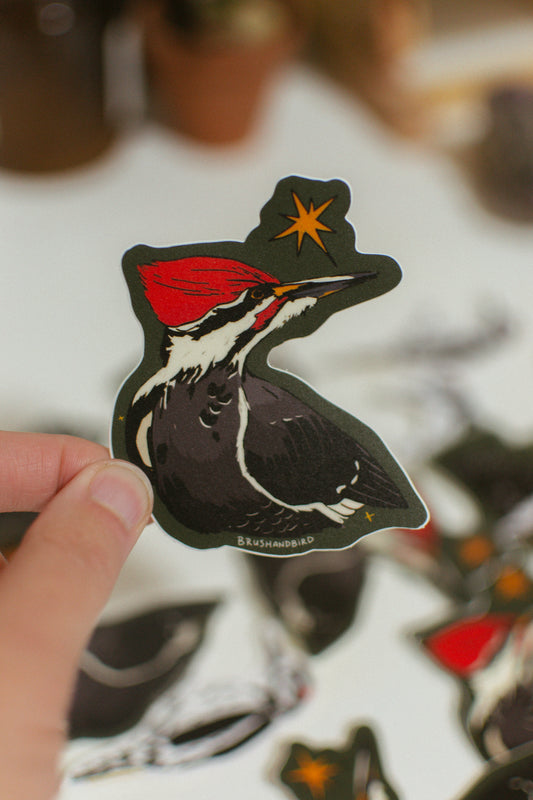 Pileated Woodpecker Sticker | Ontario Birds | Vinyl Sticker