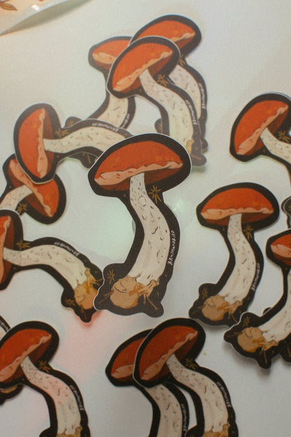 Mushroom Sticker | Orange Oak Bolete, Waterproof Vinyl Sticker