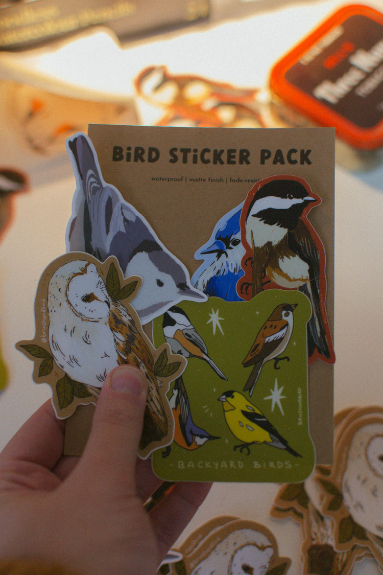 Bird Sticker Pack | Backyard Birds, Vinyl Sticker Set