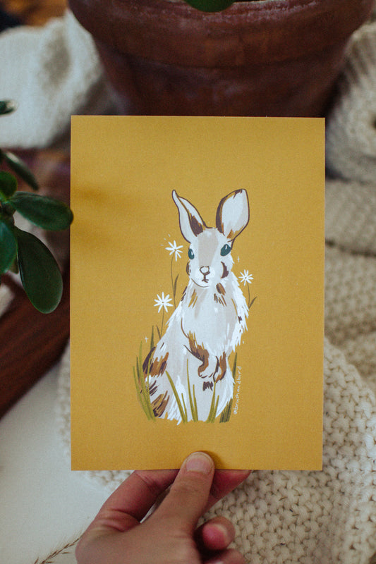 Boho Bunny Wall Art Print | Year of the Rabbit