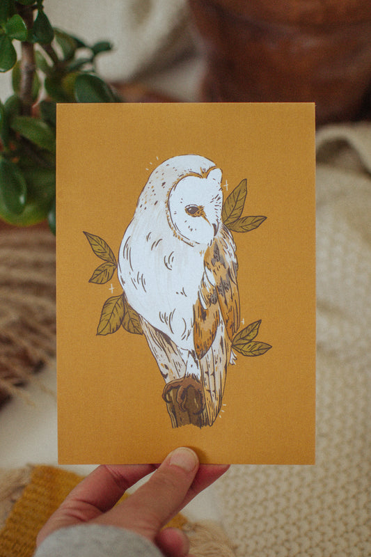 Barn Owl Art Print | Canadian Wildlife Wall Art Print