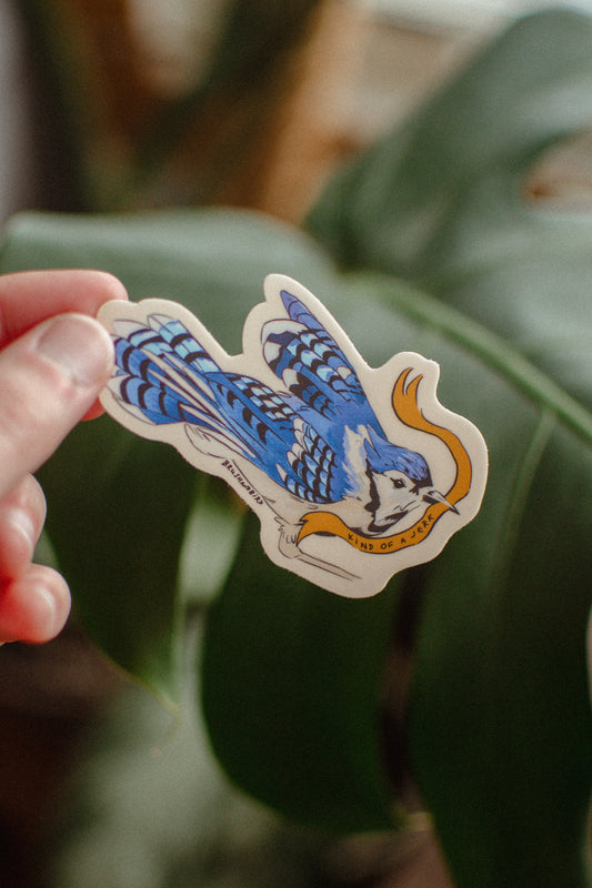 Blue Jay Sticker | Kind of a Jerk Bird Vinyl Sticker