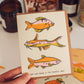Hope You Have a Fin-tastic Day | Birthday Greeting Card