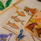 Hope You Have a Fin-tastic Day | Birthday Greeting Card