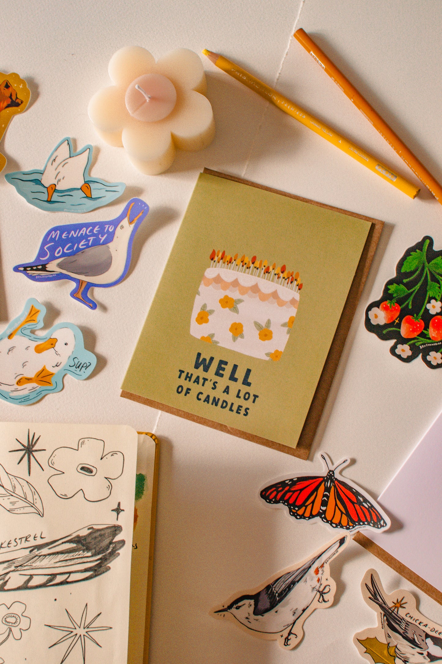 Funny Birthday Card | Well That's a Lot of Candles Card | Old Age Birthday