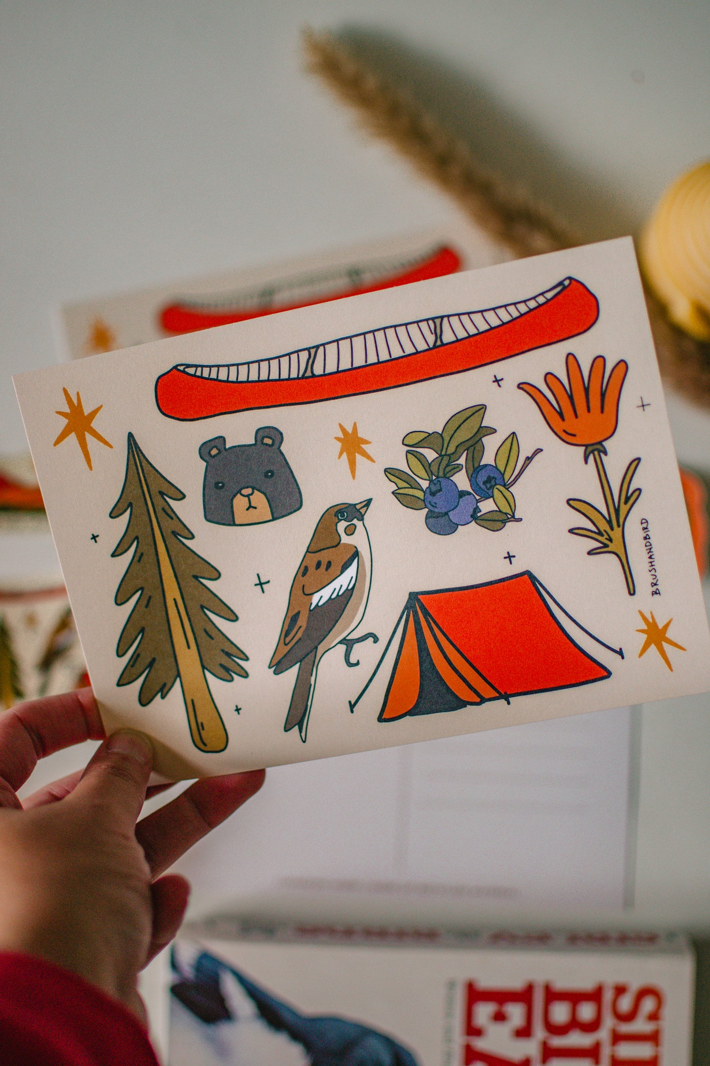 Canadian Wildlife Postcard | Northern Ontario Collection