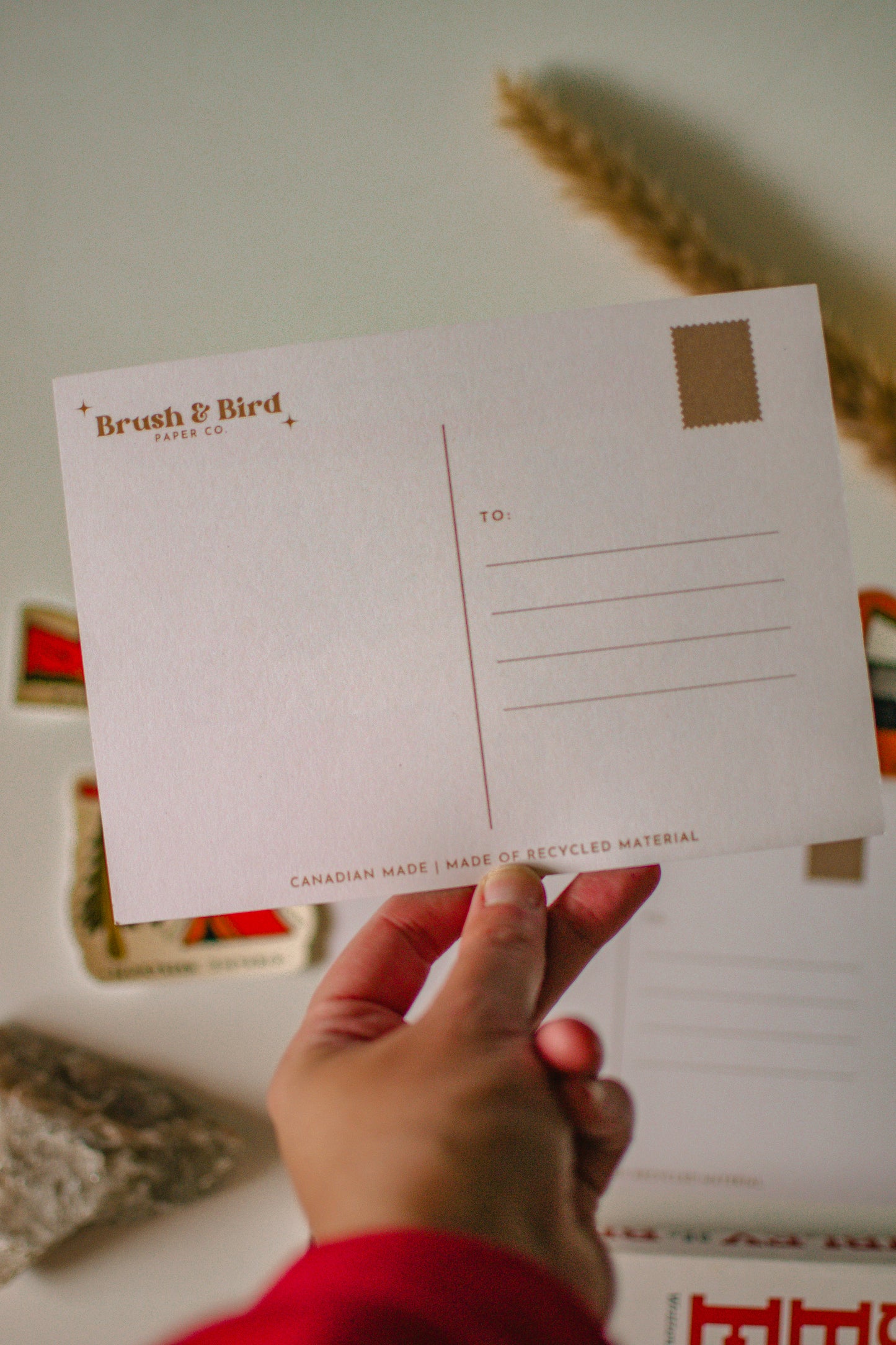 Canadian Wildlife Postcard | Northern Ontario Collection