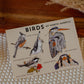 Bird Postcard | Birds of North America 5x7 Design