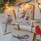 Nuthatch Bird Greeting Card | Blank Holiday Christmas Card