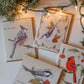 Funny Holiday Bird Card | Cheeky Titmouse Christmas Design