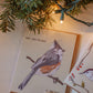 Funny Holiday Bird Card | Cheeky Titmouse Christmas Design
