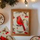 Cardinal Bird Christmas Card Set of 6 | Blank Holiday Card