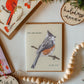 Funny Holiday Bird Card | Cheeky Titmouse Christmas Design