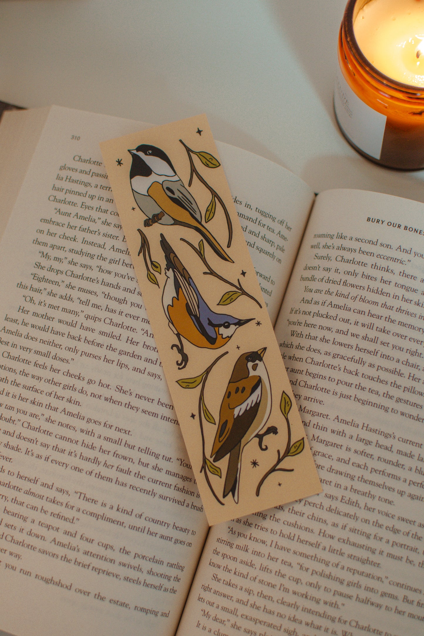 Canadian Birds Bookmark | Illustrated Backyard Bird Design