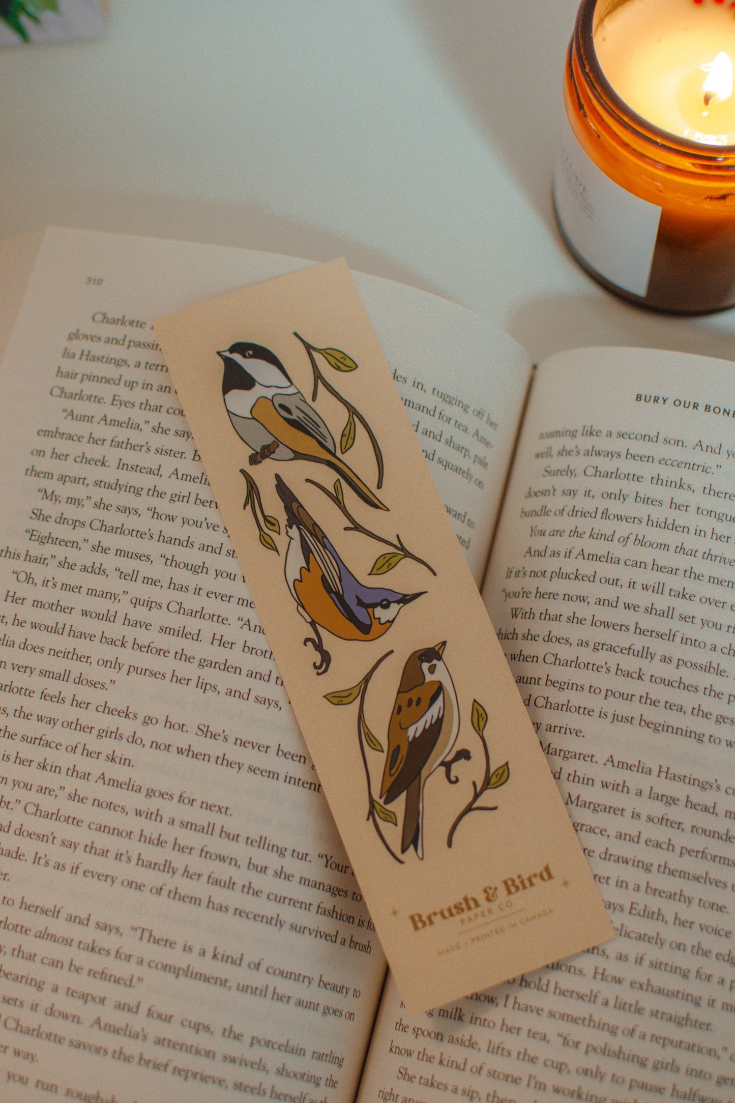 Canadian Birds Bookmark | Illustrated Backyard Bird Design