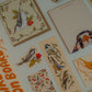 Canadian Birds Bookmark | Illustrated Backyard Bird Design